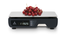 WAGA FAWAG WS-1 WAGA FAWAG WS-1