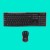 Zestaw bezprzewodowy Logitech MK270 920-004509